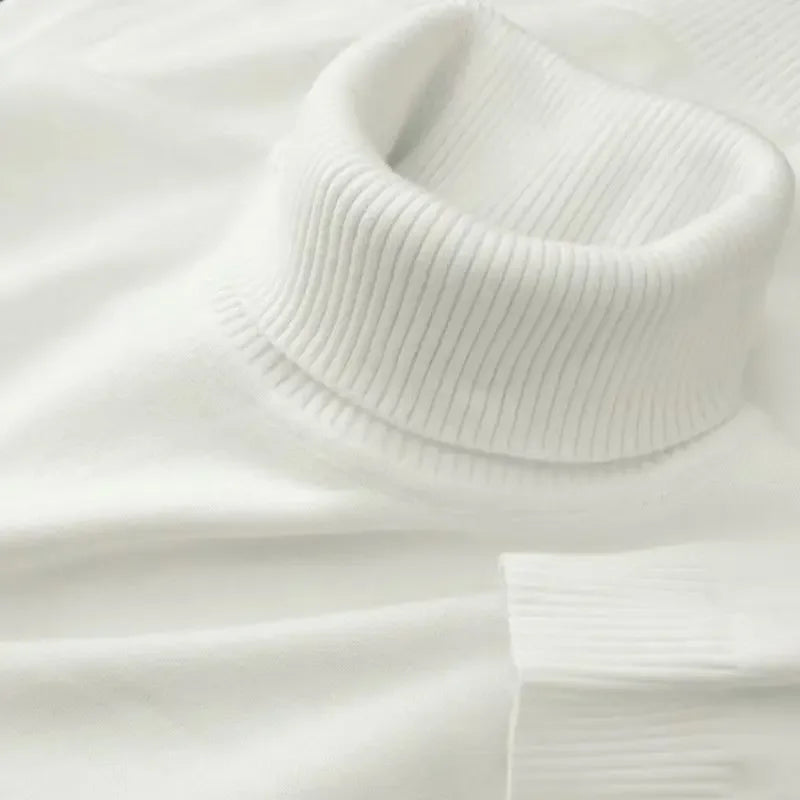 Men's Knit Turtleneck Sweater