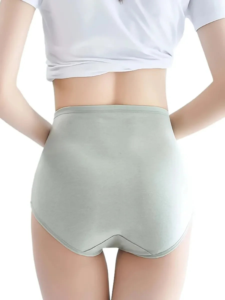 Women's High-Waist Lace Jacquard Briefs 4-Pack | Breathable Stretchy Underwear | L–XXL